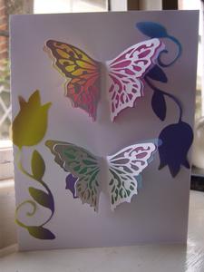 Butterfly Duo