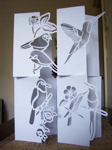 Over The Edge Bird Notelet Set