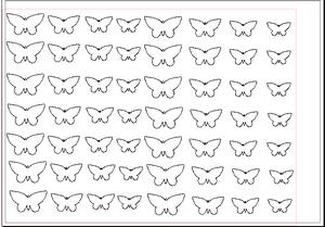 Different Sized Butterflies
