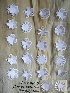 20 Pop Ups