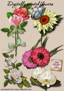 Digitally Painted Flowers