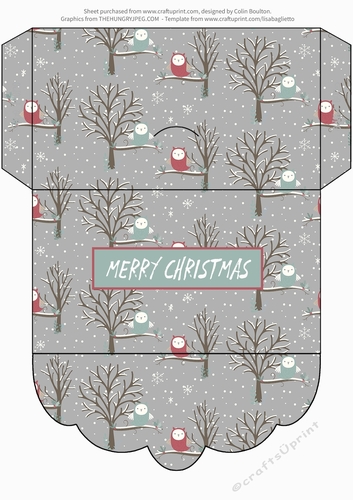 Christmas owl Money Wallet
