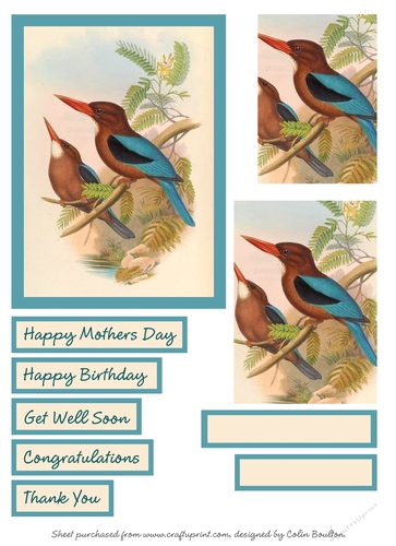 A pair off White-throated Kingfisher (Halcyon gularis) - Pyramage card topper 110 x 158mm  - A4  craft sheet