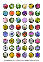Flower Circles Collage Sheet