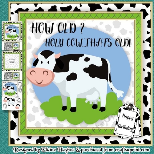 Holy Cow Mini Kit