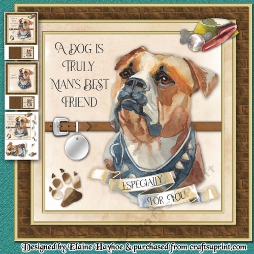 American Bulldog Mini Kit