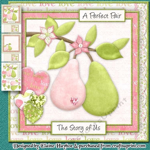 A Perfect Pair - The Story of Us Mini Kit