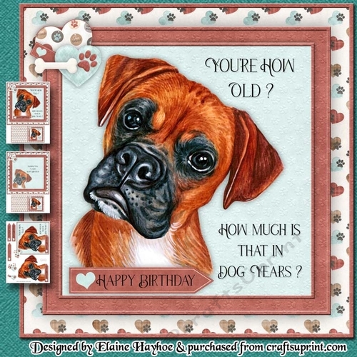 Dog Years Birthday Mini Kit