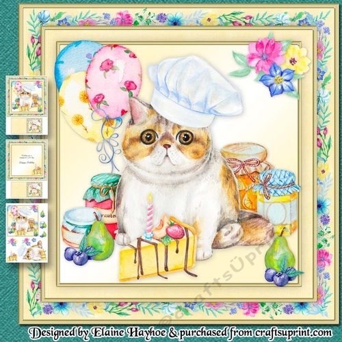 Purr...fect Day Birthday Mini Kit