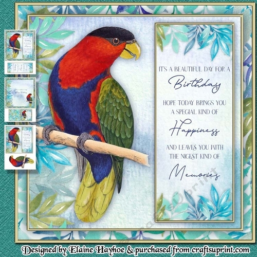 Parrot Birthday Mini Kit