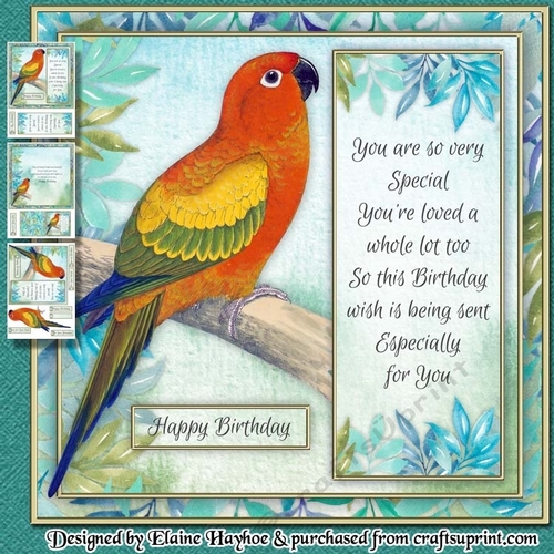 Parakeet Birthday Mini Kit