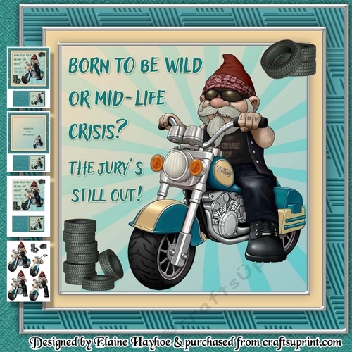 Born to be Wild Birthday Mini Kit
