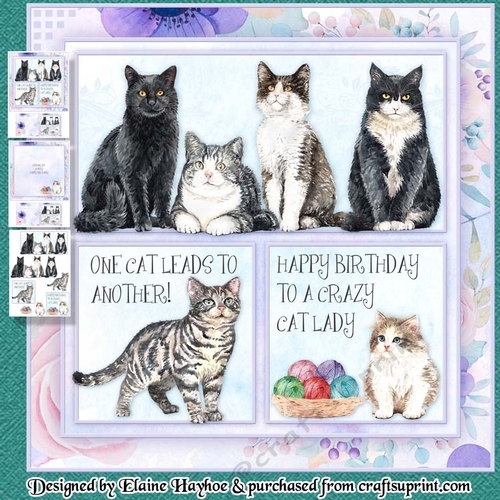 Crazy Cat Lady Mini Kit
