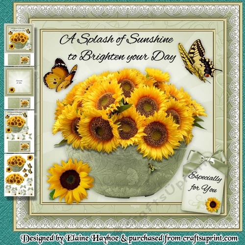 A Splash of Sunshine