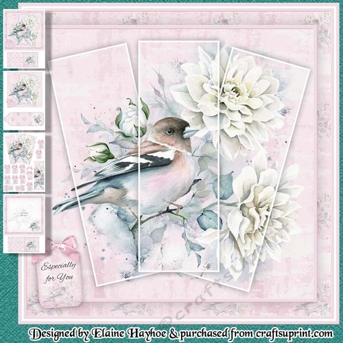 Beautiful Bird Mini Kit