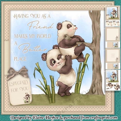 Special Friend Mini Kit