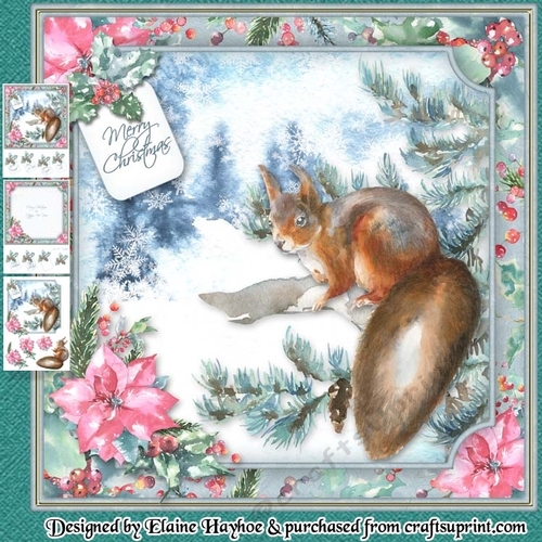 Woodland Squirrel Mini Kit