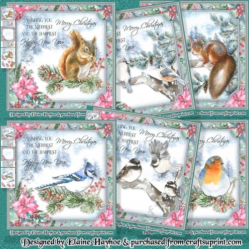 Forest Story Bumper Kit
