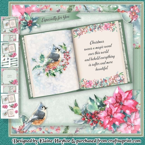Christmas Book Mini Kit