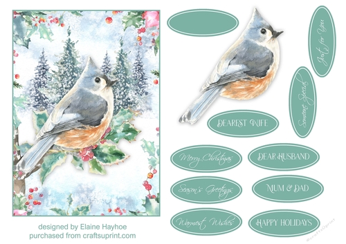 5x7 Cardinal Christmas Card Front