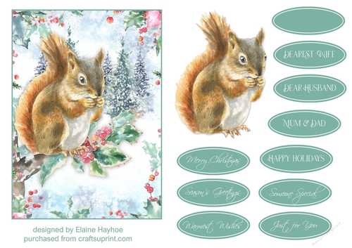5x7 Squirrel 1 Christmas Card Front