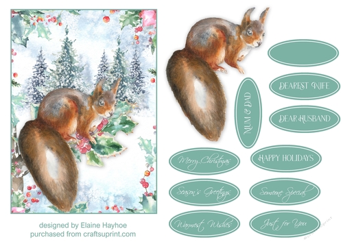 5x7 Squirrel 2 Christmas Card Front