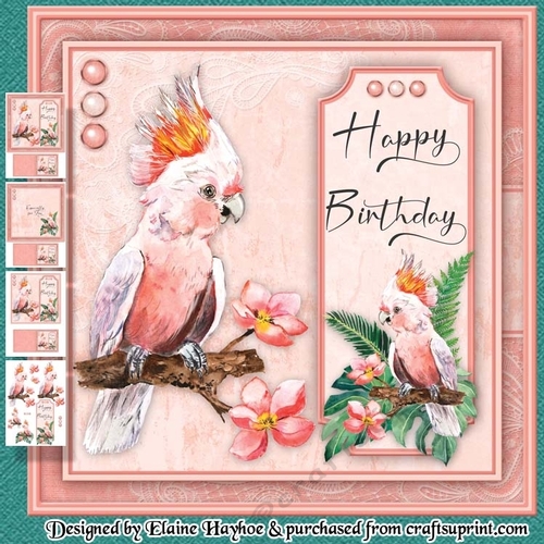 Cockatoo Birthday Mini Kit