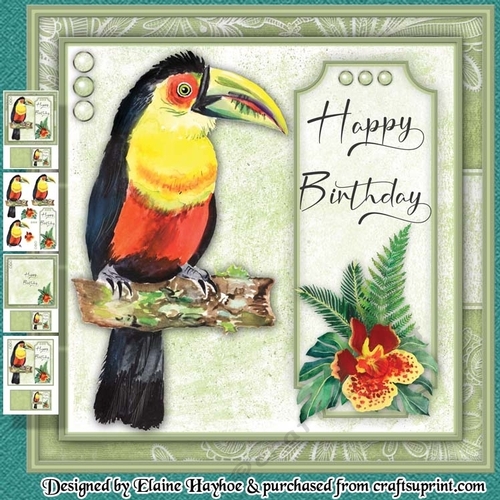 Toucan Birthday Mini Kit