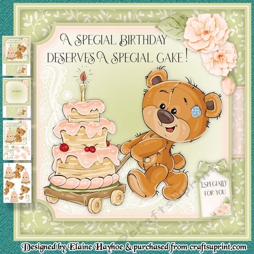 Special Birthday Cake Mini Kit