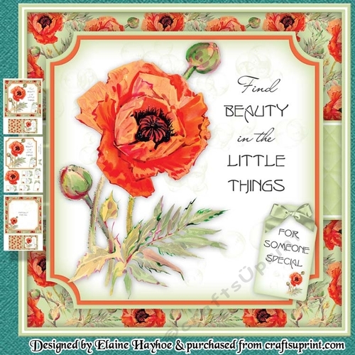Poppy Mini Kit