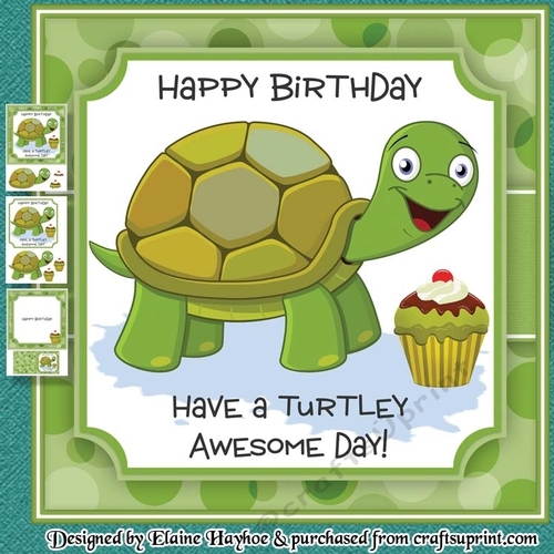 Turtley Awesome Day Mini Kit