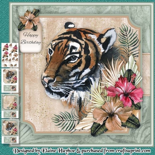 Safari Tiger Mini Kit