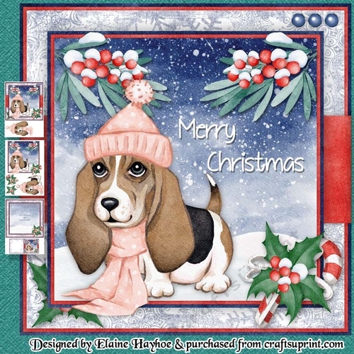 Puppy 1 Winter Walk Mini Kit