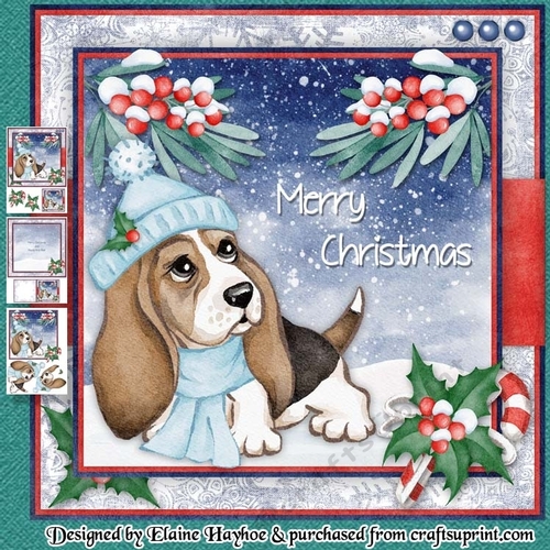 Puppy 2 Winter Walk Mini Kit