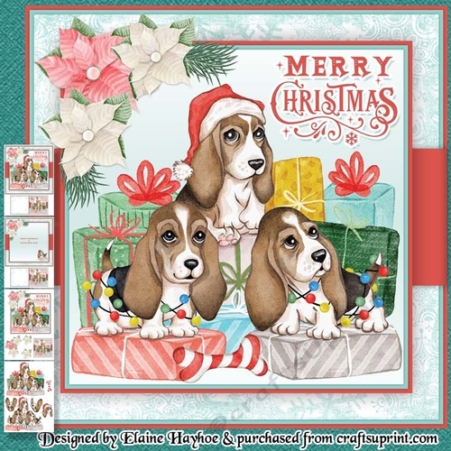 Woof Christmas Mini Kit