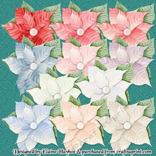 Christmas Poinsettias