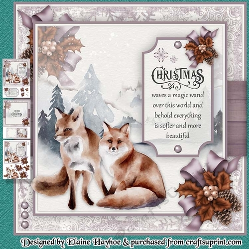 Pair of Foxes Mini Kit