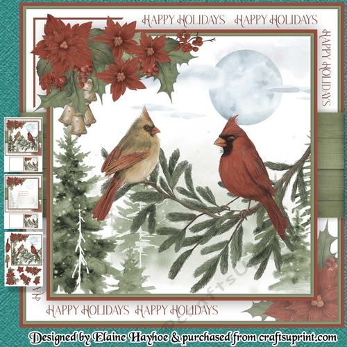 Pair of Cardinals Mini Kit