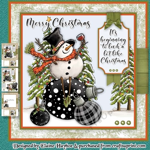 Red Wine Snowman Mini Kit