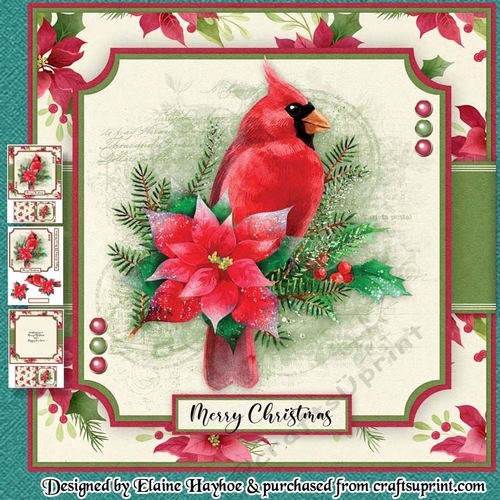 Cardinal & Poinsettia Mini Kit