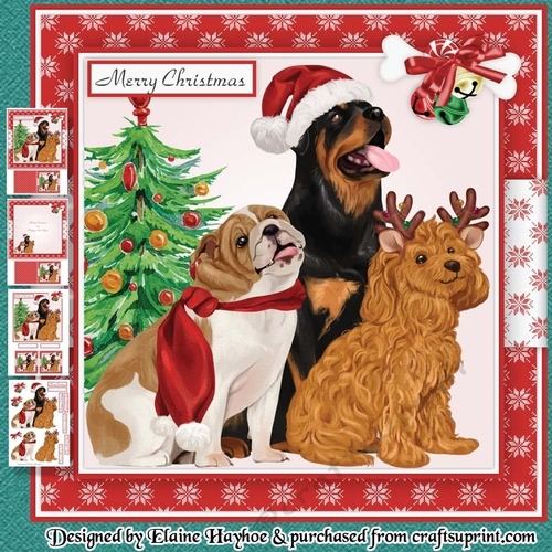Furry Merry Christmas Mini Kit