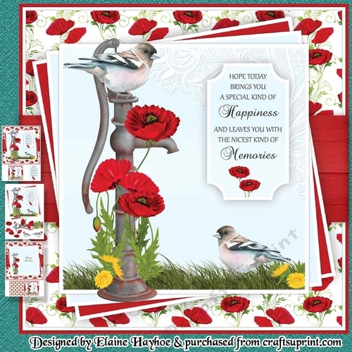 Red Poppy Water Pump Mini Kit
