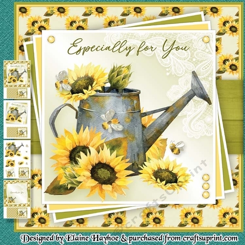 Sunny Watering Can Mini Kit