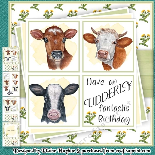 Udderly Fantastic Birthday Mini Kit