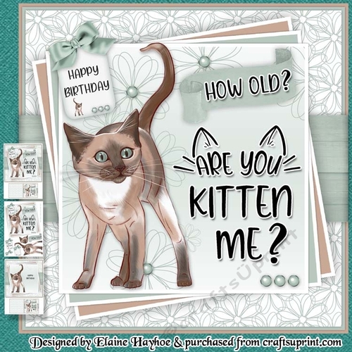Are You Kitten Me Mini Kit