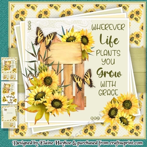 Grow With Grace Mini Kit