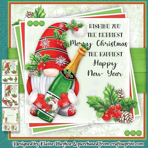 Champagne Bottle Gnome Mini Kit