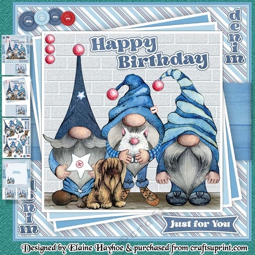 Double Denim Gnomes Birthday Mini Kit