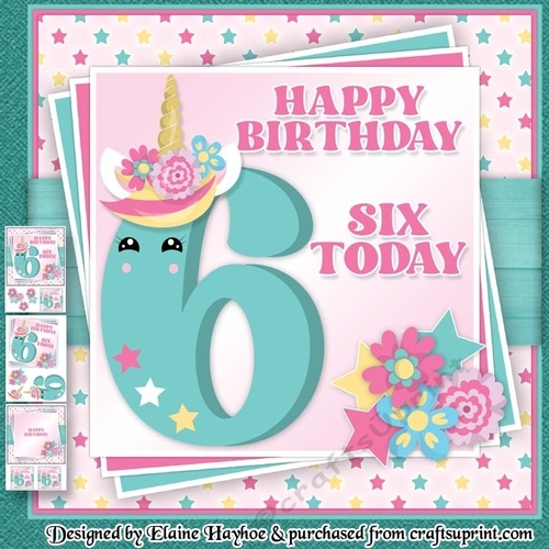 Unicorn Age 6 Mini Kit