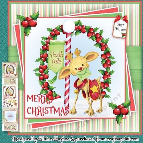 Baby Rudis Xmas Letter Mini Kit